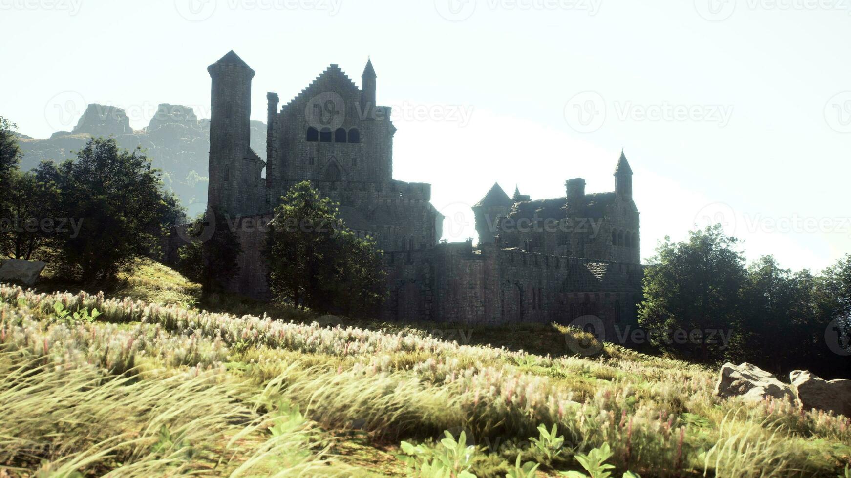 aereo Visualizza rovine di medievale castello foto