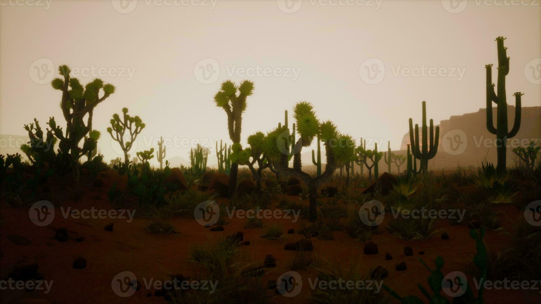 sabbia dune contro cielo prima Alba foto