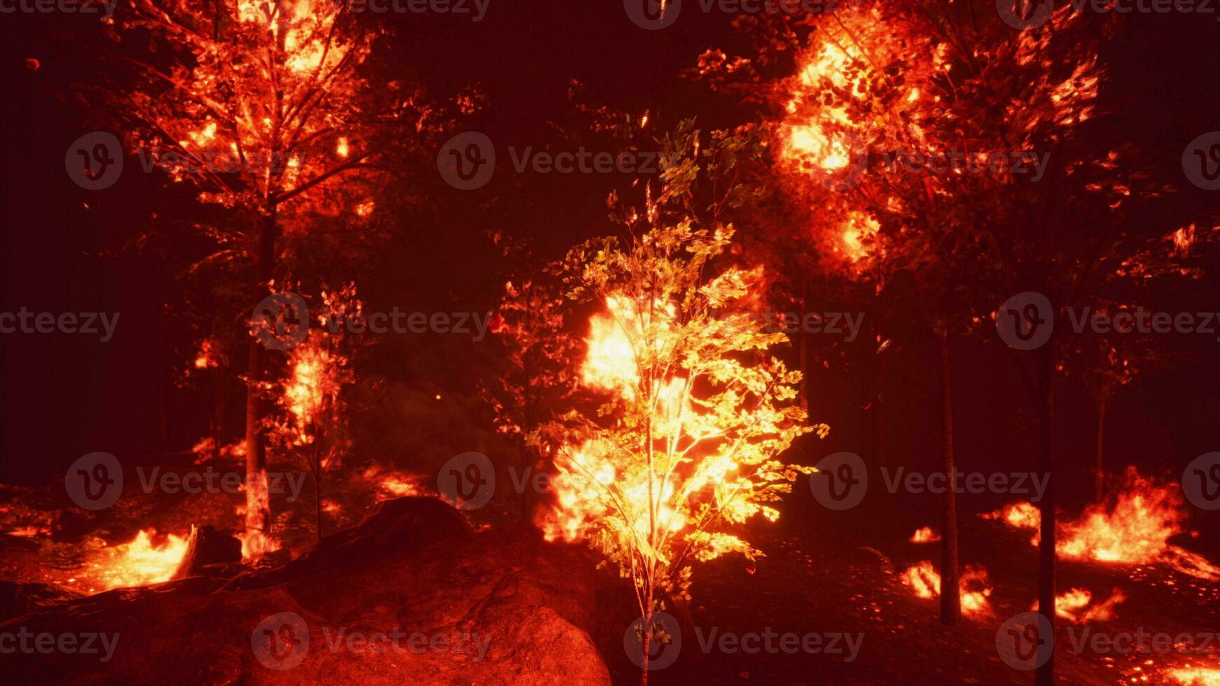 intenso fiamme a partire dal un' massiccio foresta fuoco foto