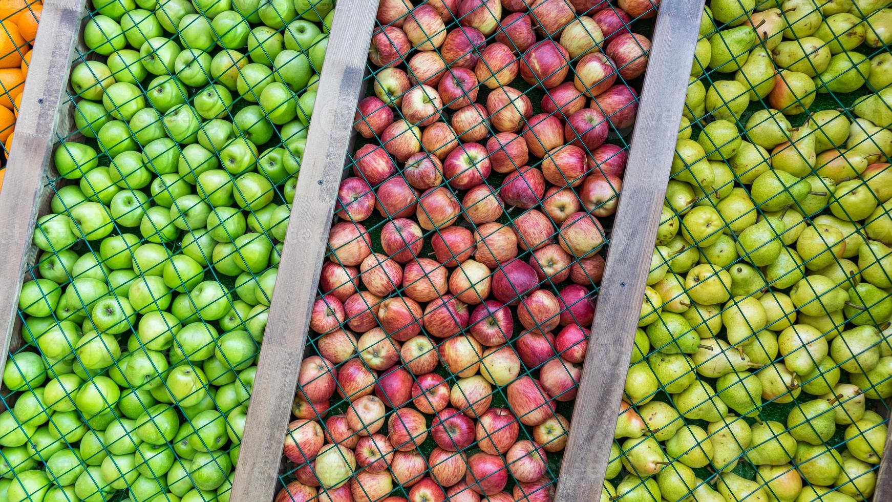 sfondo di pera, mela verde e rossa foto