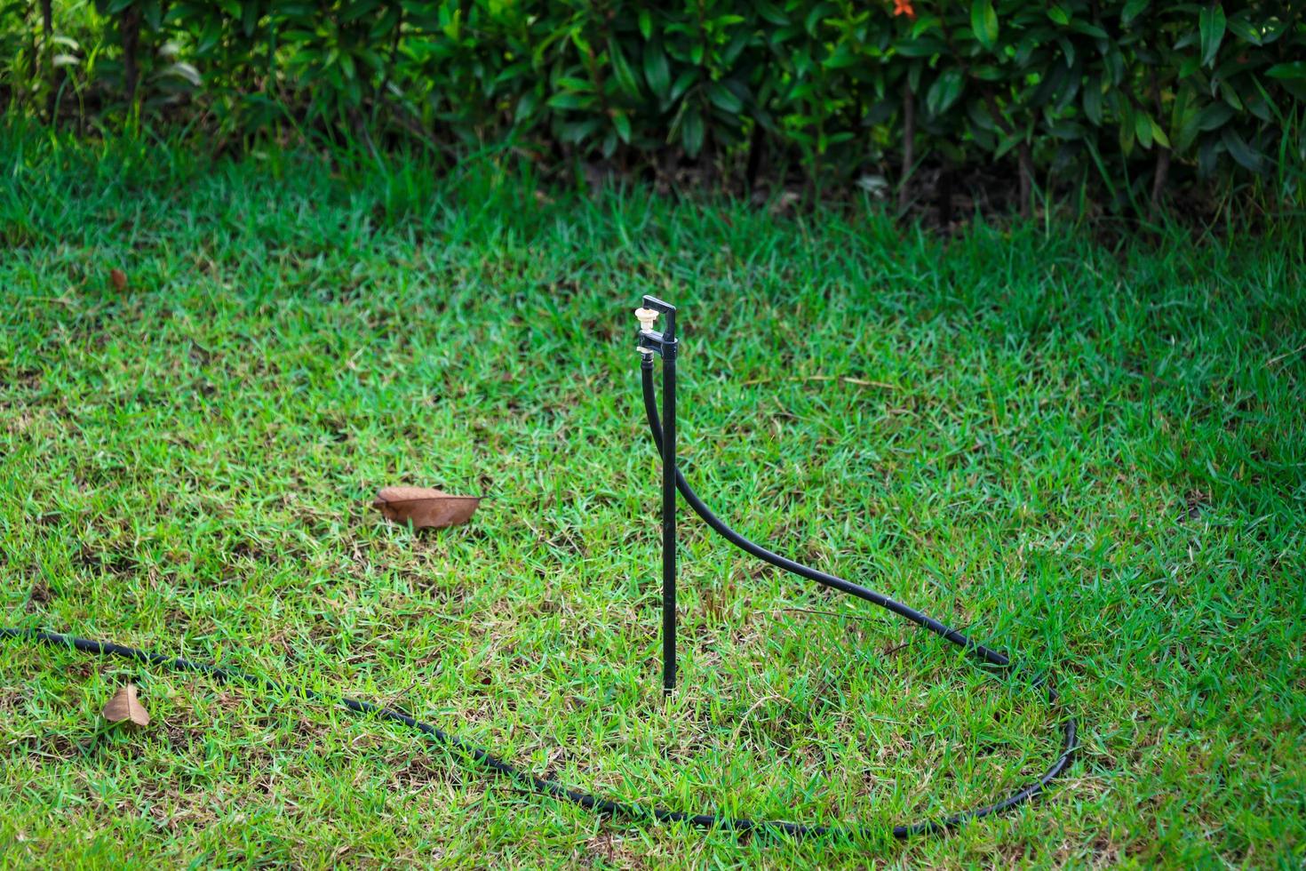 irrigatore d'acqua in giardino foto