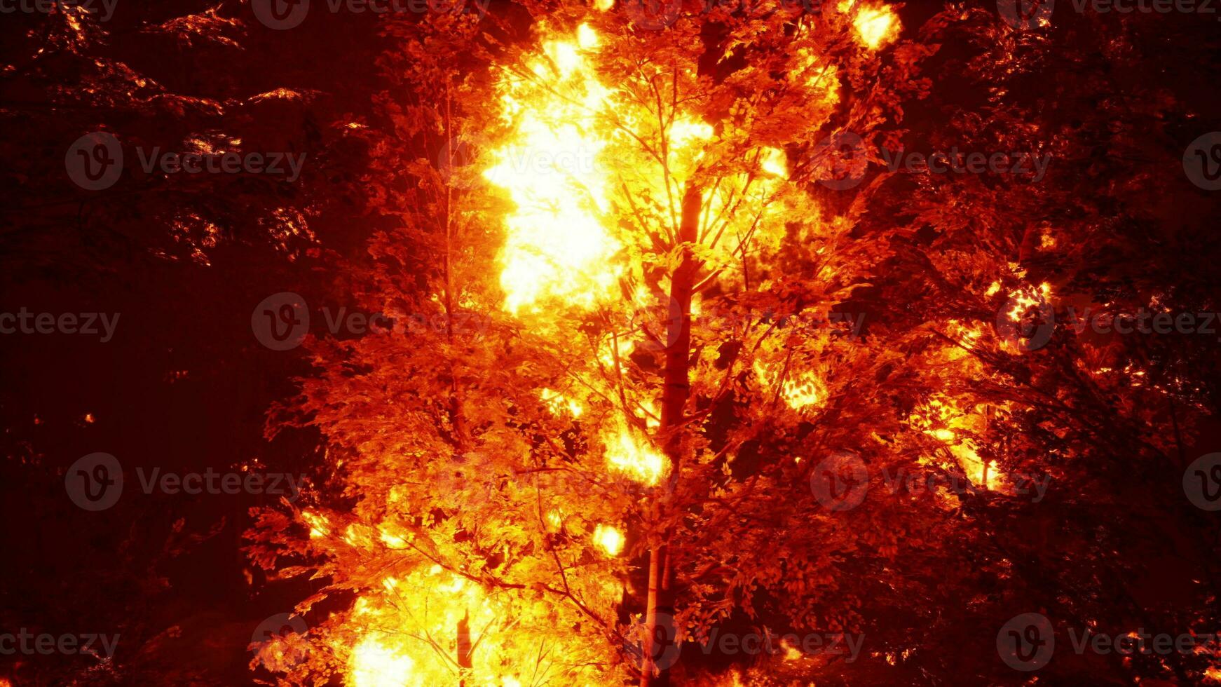 intenso fiamme a partire dal un' massiccio foresta fuoco foto