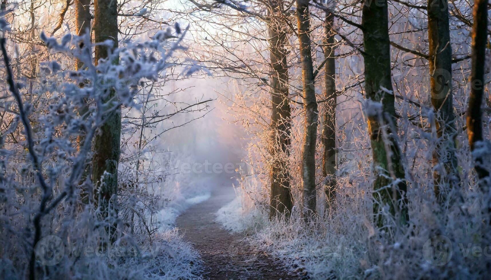 ai generato inverno foresta nel il neve foto