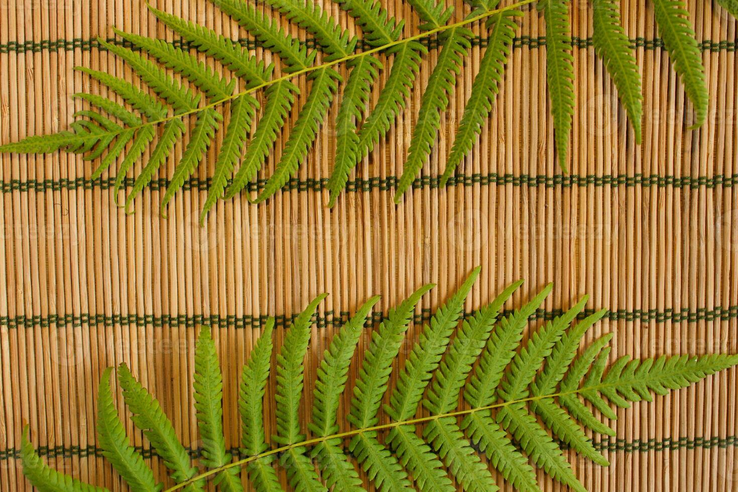 felce foglia pianta su bambù tovaglietta foto