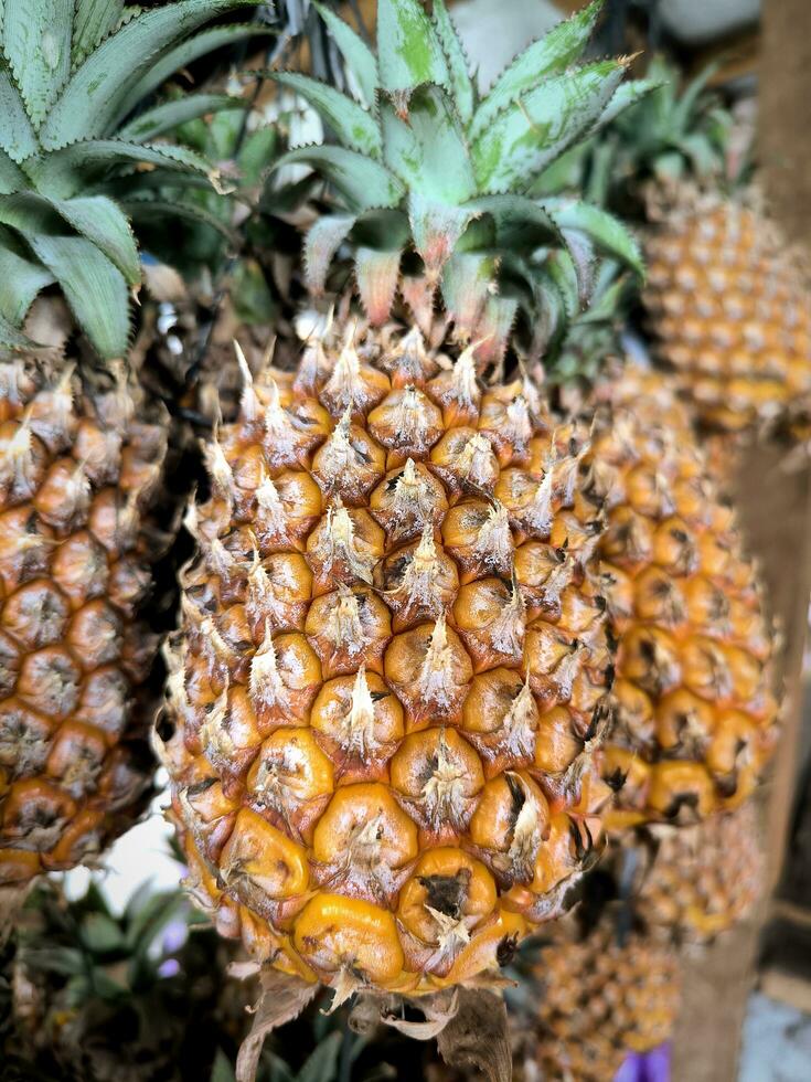 ananas o ananas comosus nel il frutta mercato foto