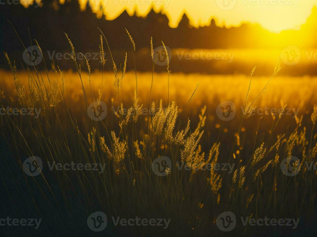 ai generato astratto morbido messa a fuoco tramonto campo paesaggio di giallo fiori e erba prato caldo d'oro ora tramonto Alba volta. tranquillo primavera estate natura avvicinamento e sfocato foresta sfondo. foto