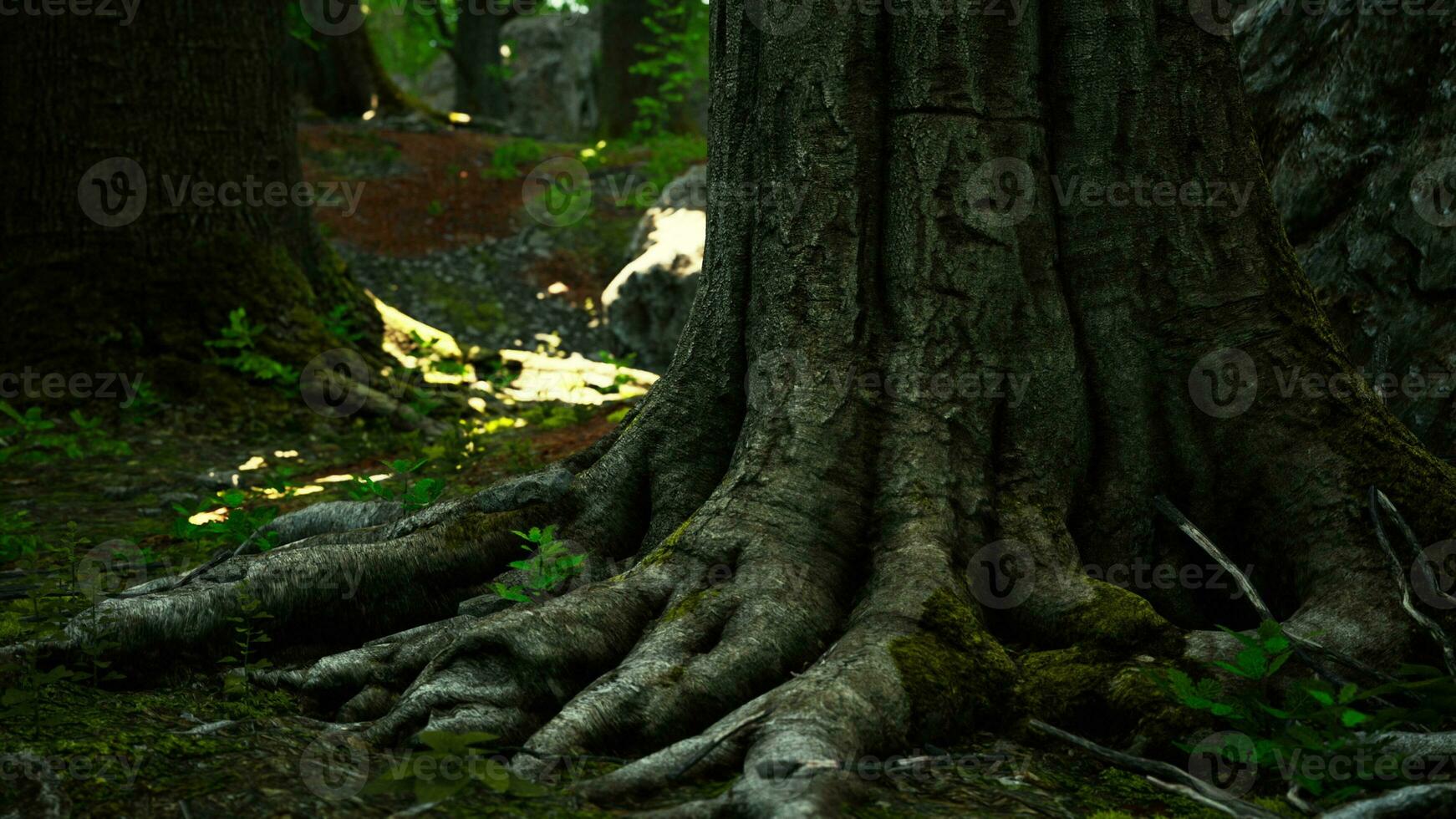 radici di un vecchio albero coperto di vegetazione con muschio foto