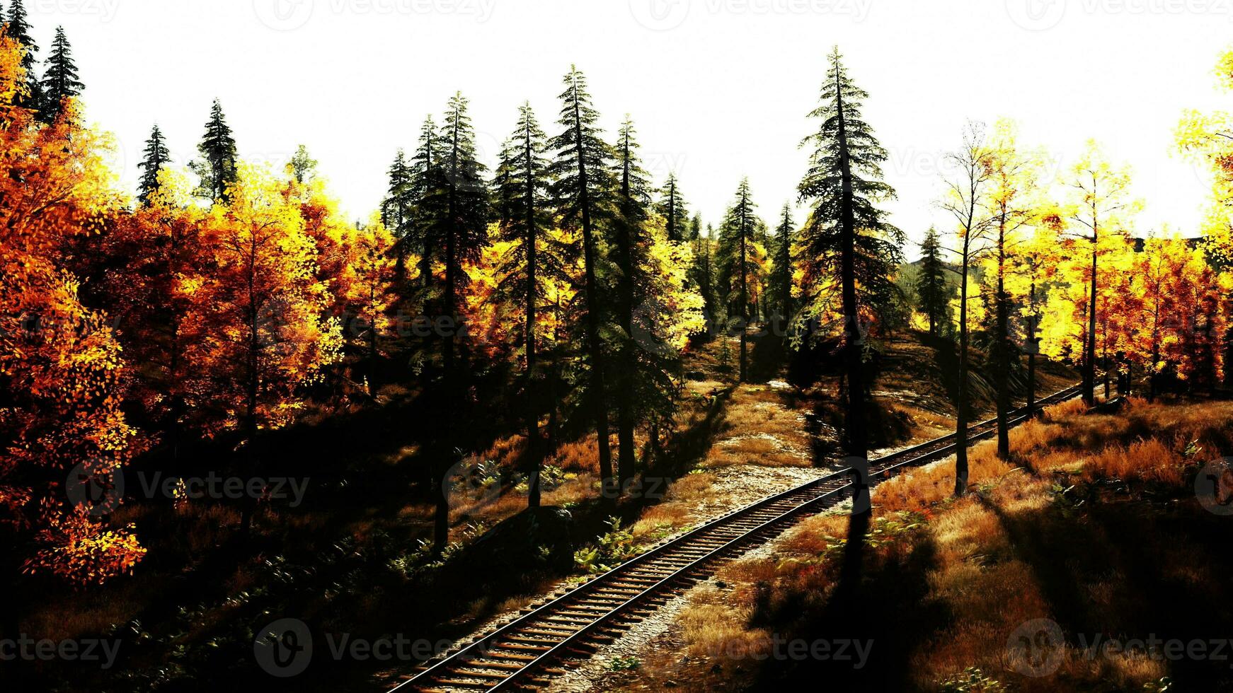 Esposto alle intemperie ferrovia scomparsa in il boschi a crepuscolo foto