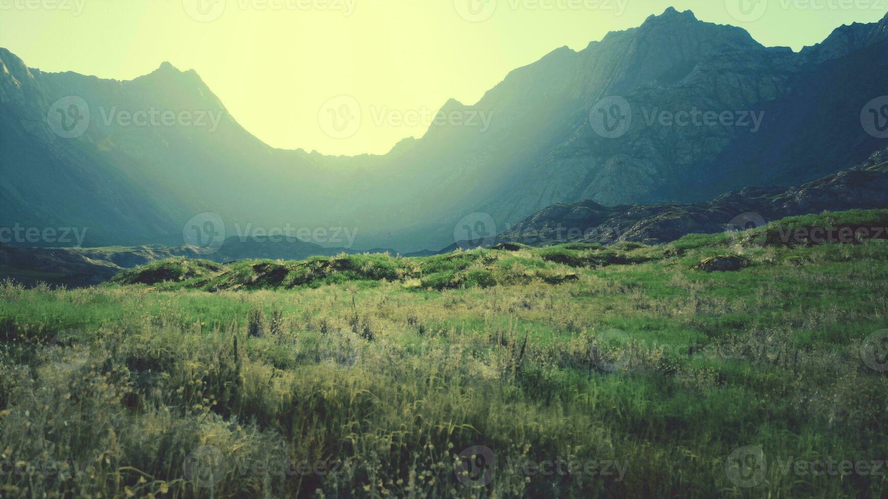 asciutto aspro montagna terreno con scarso vegetazione e molti rocce foto