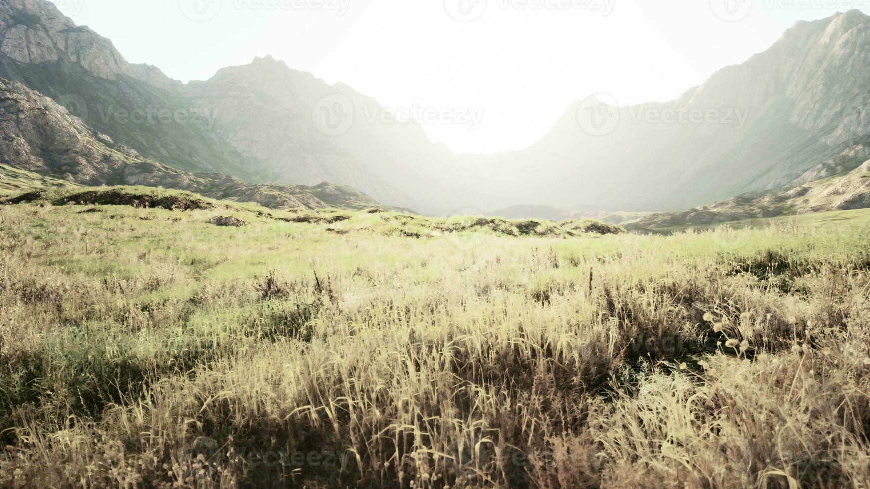 asciutto aspro montagna paesaggio con scarso vegetazione e molti rocce foto