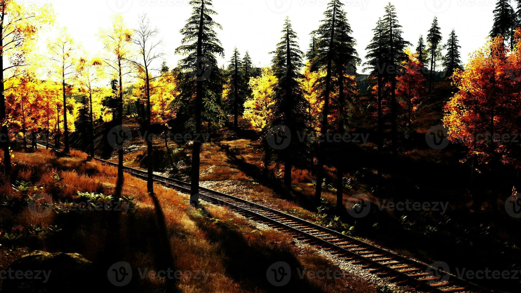 vecchio Ferrovia brani taglio attraverso un' denso foresta di abete rosso alberi a crepuscolo foto