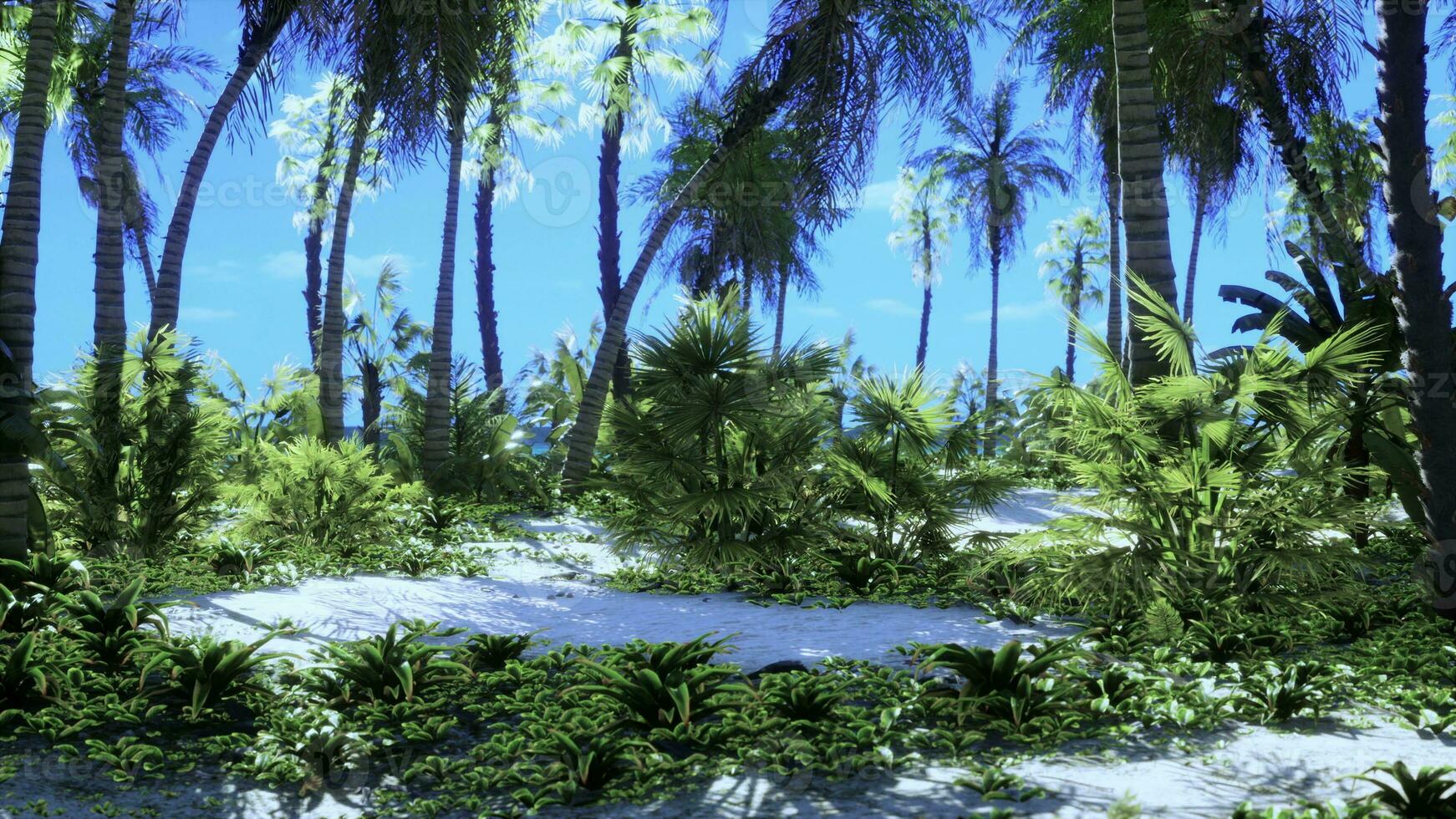 tropicale spiaggia con Noce di cocco palma albero foto