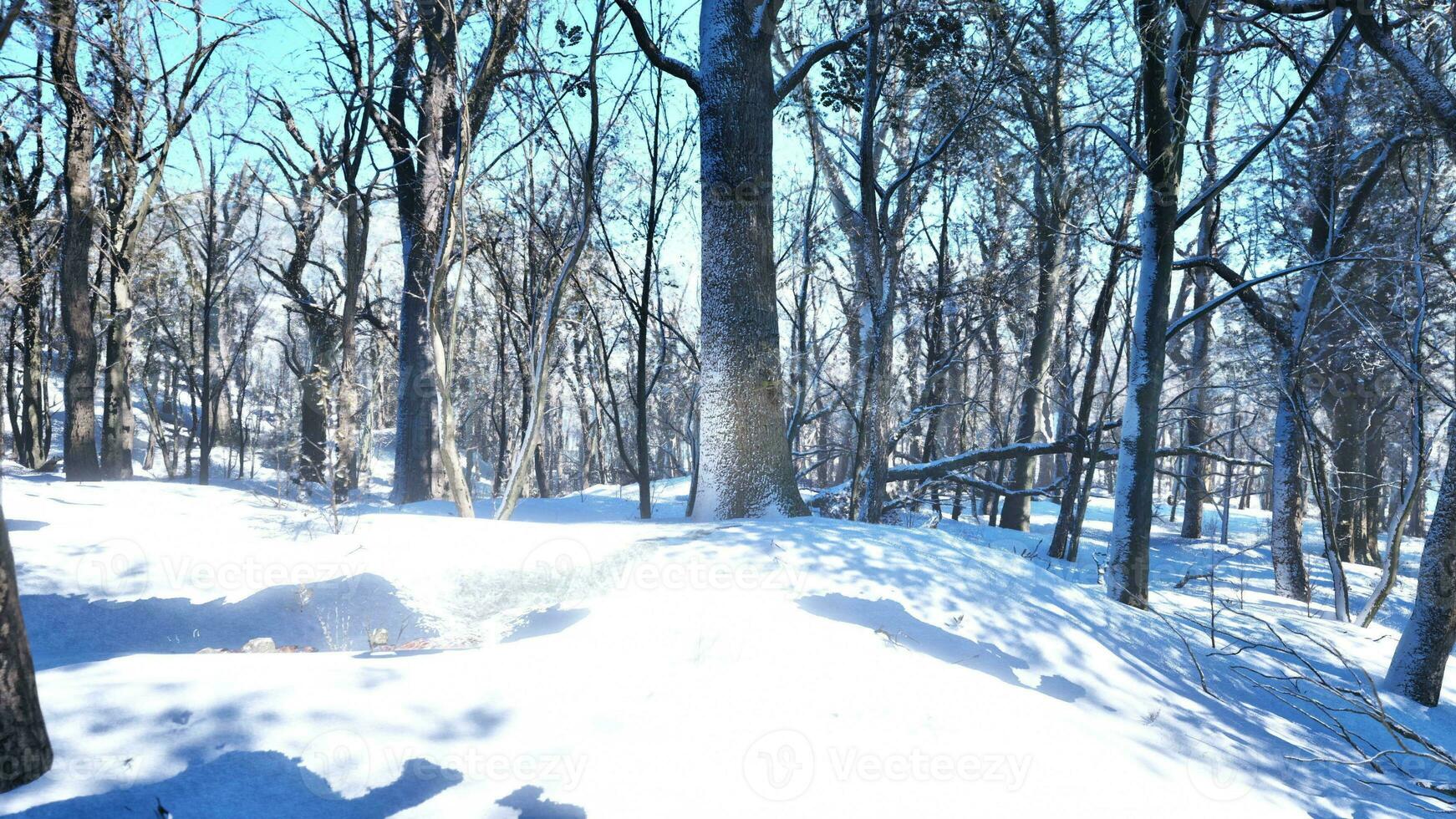 pino alberi coperto con neve su gelido sera foto