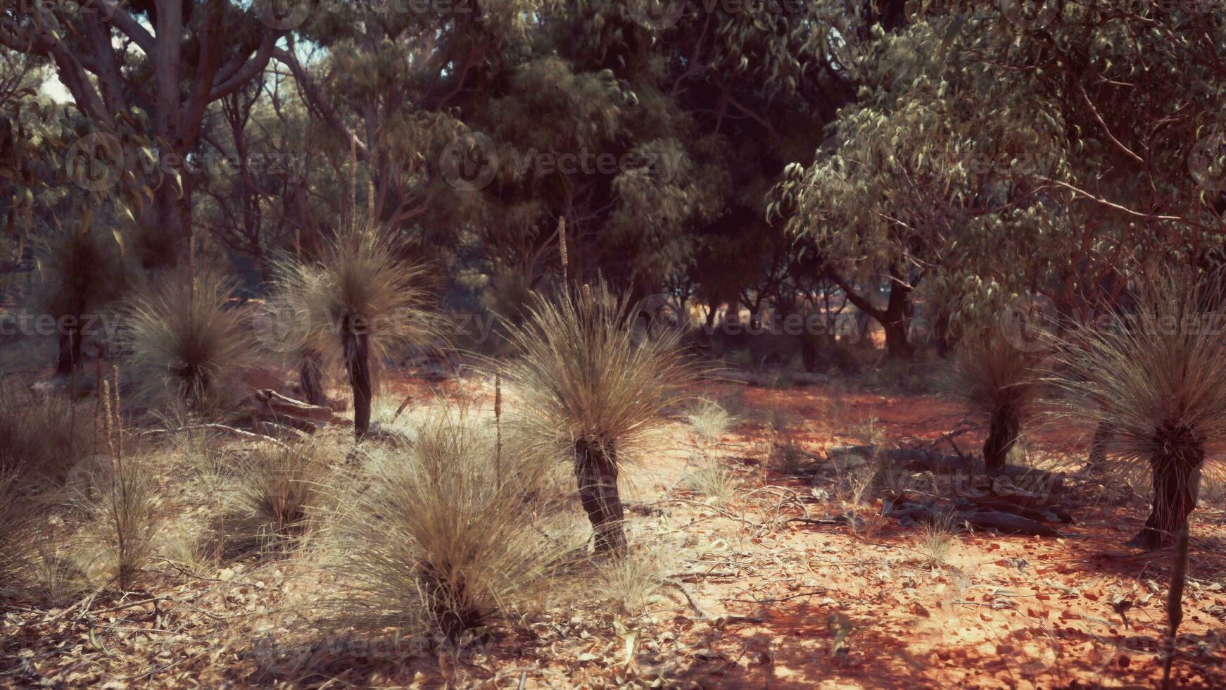 Sud Africa paesaggio con verde alberi foto