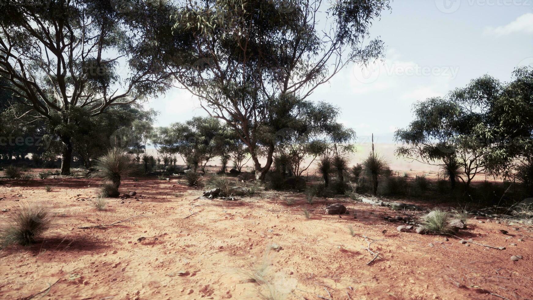 un' sereno paesaggio con alberi nel un' rustico campo foto