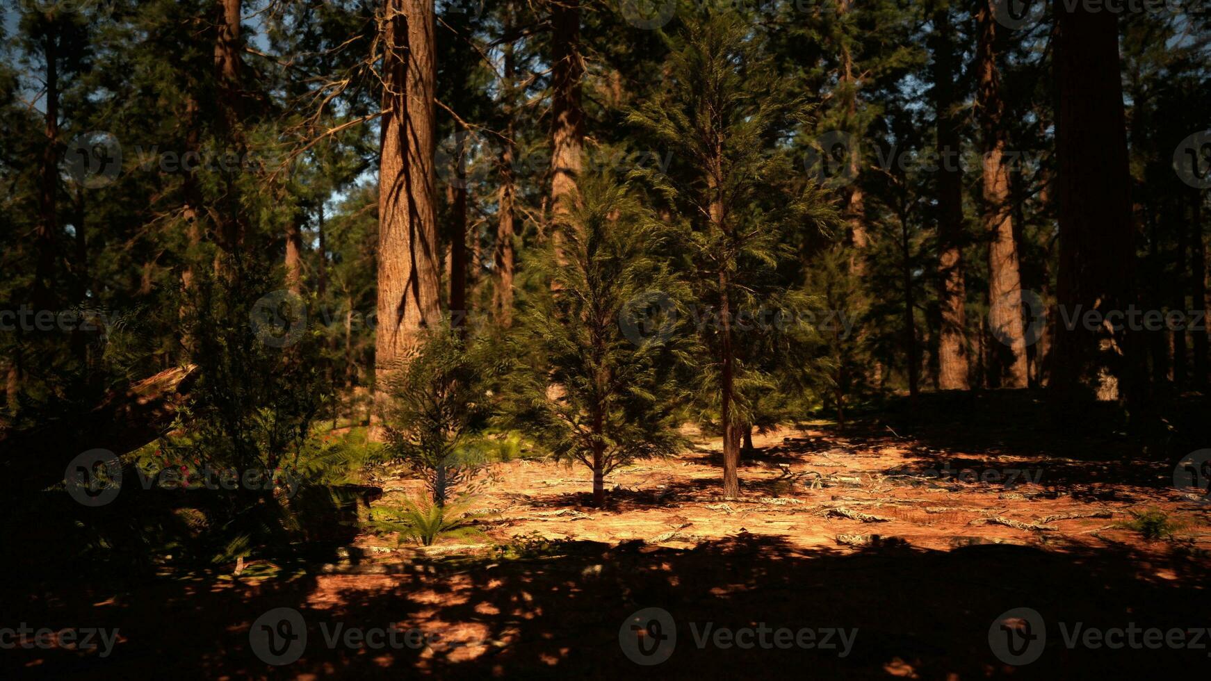 sequoia nazionale parco nel California foto