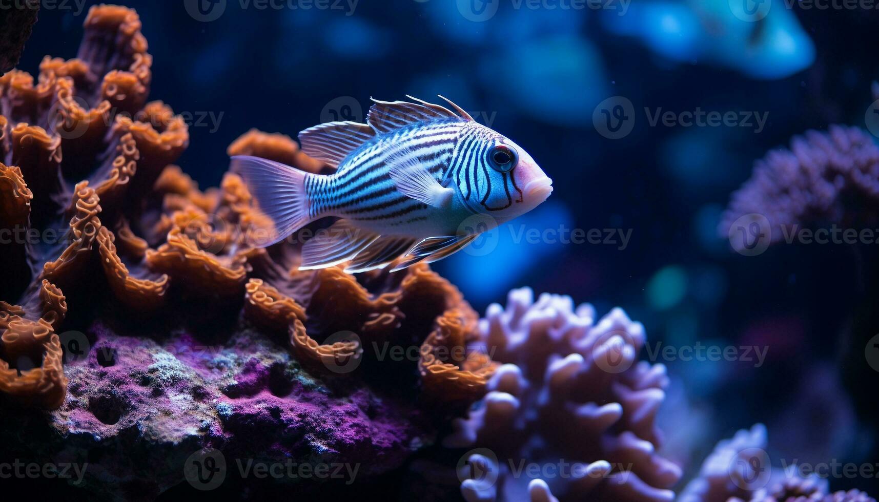 ai generato subacqueo bellezza pesce, scogliera, natura, animale, acqua, tropicale clima generato di ai foto