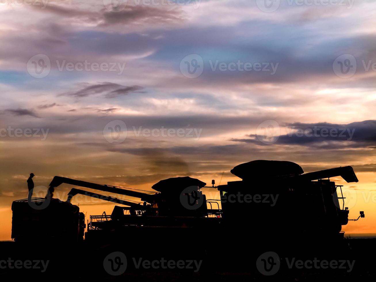 Silhouette di macchine per la raccolta lo scarico di semi di soia in un camion al tramonto, durante il raccolto di una fattoria in Brasile foto