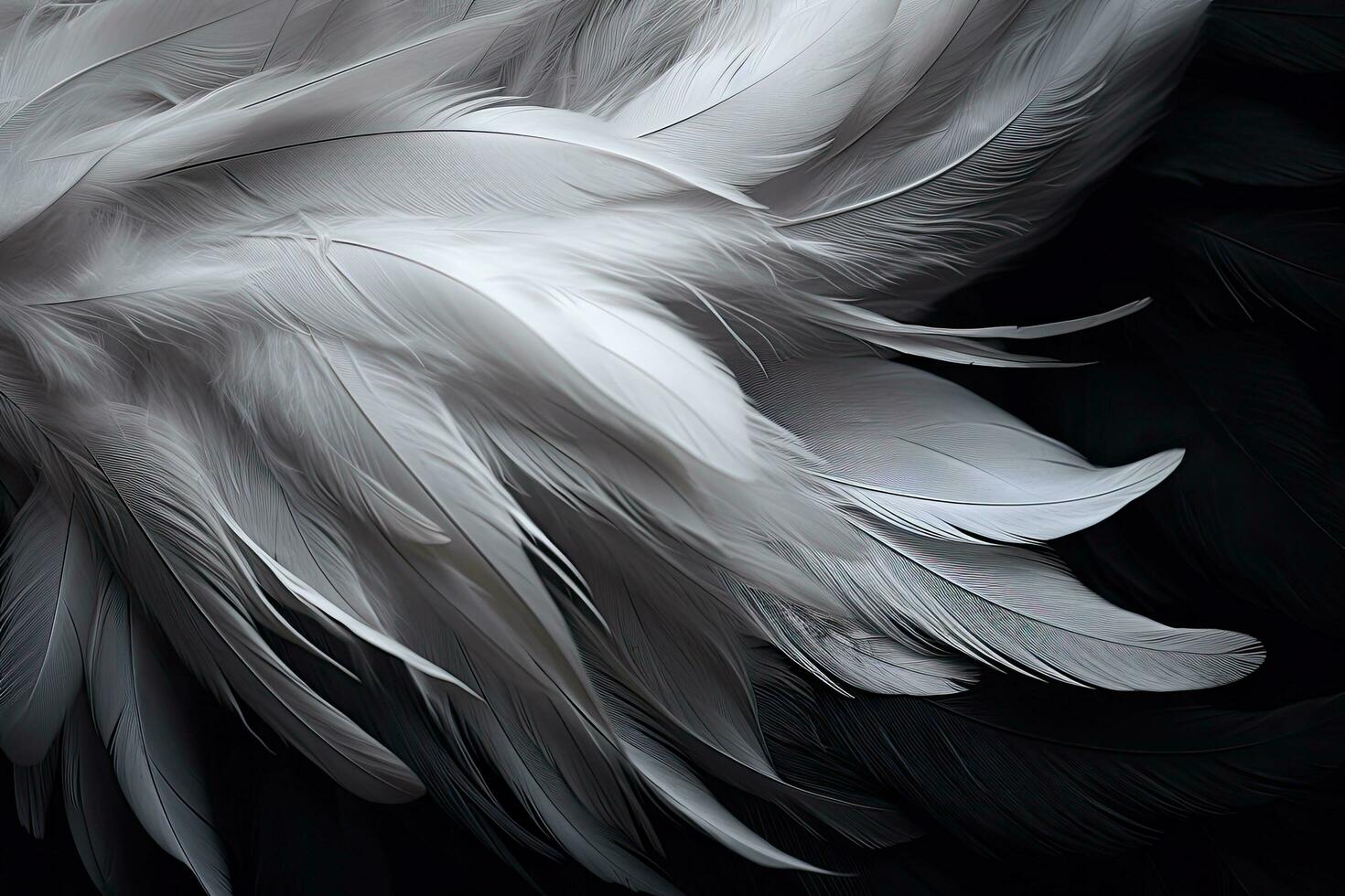ai generato piume di un' uccello su un' nero sfondo vicino su, bianca e nero piume , ai generato foto