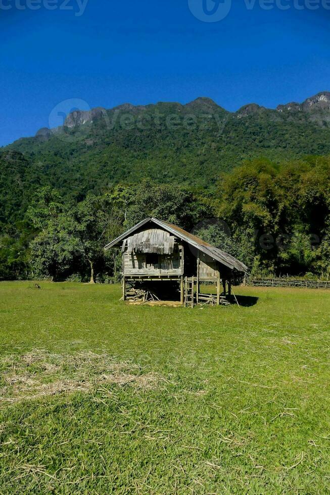 un vecchio di legno capanna nel il mezzo di un' campo foto