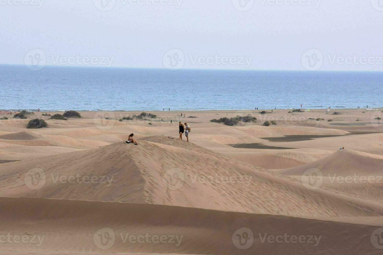 persone siamo in piedi su superiore di un' sabbia duna foto