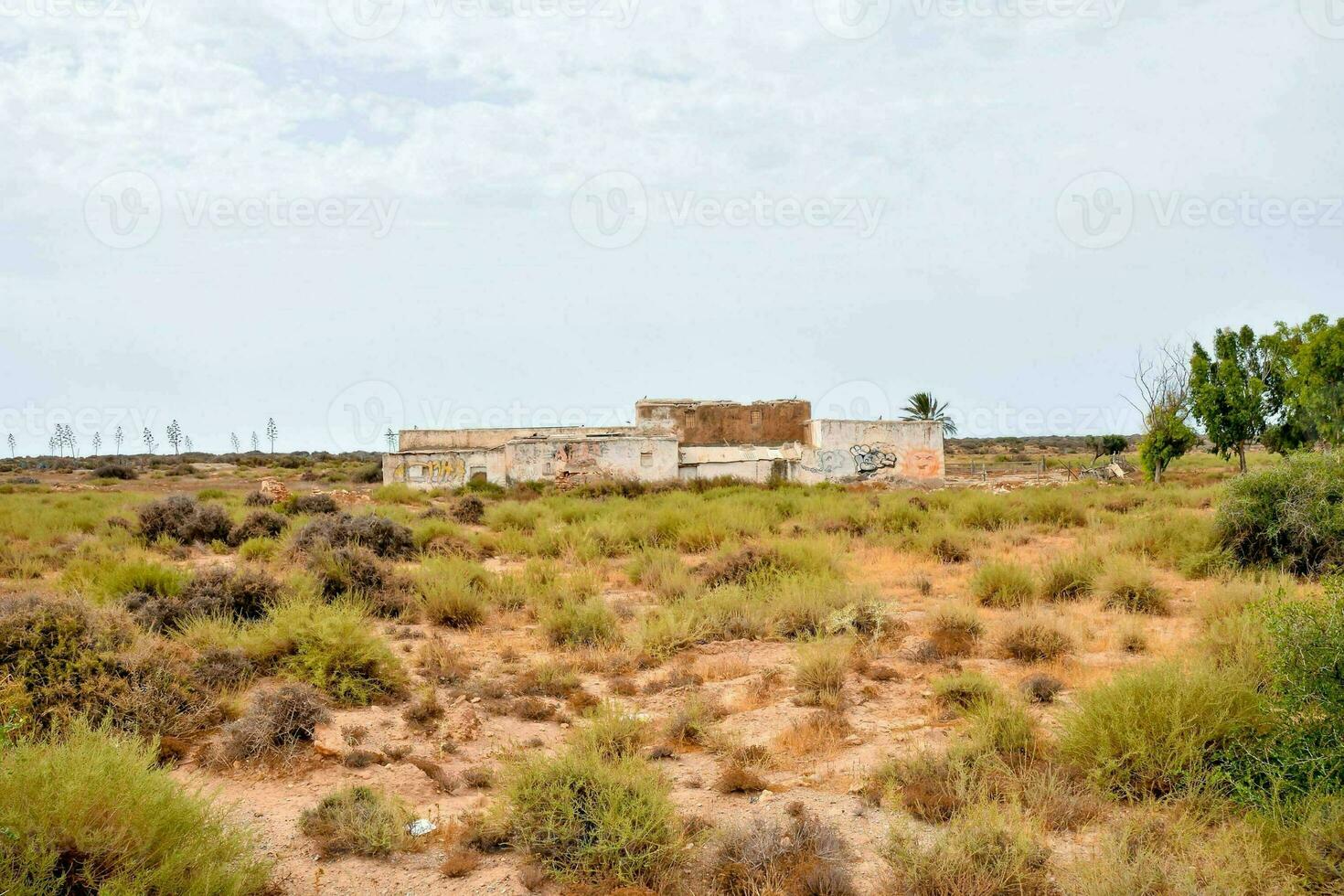 panoramico deserto paesaggio foto