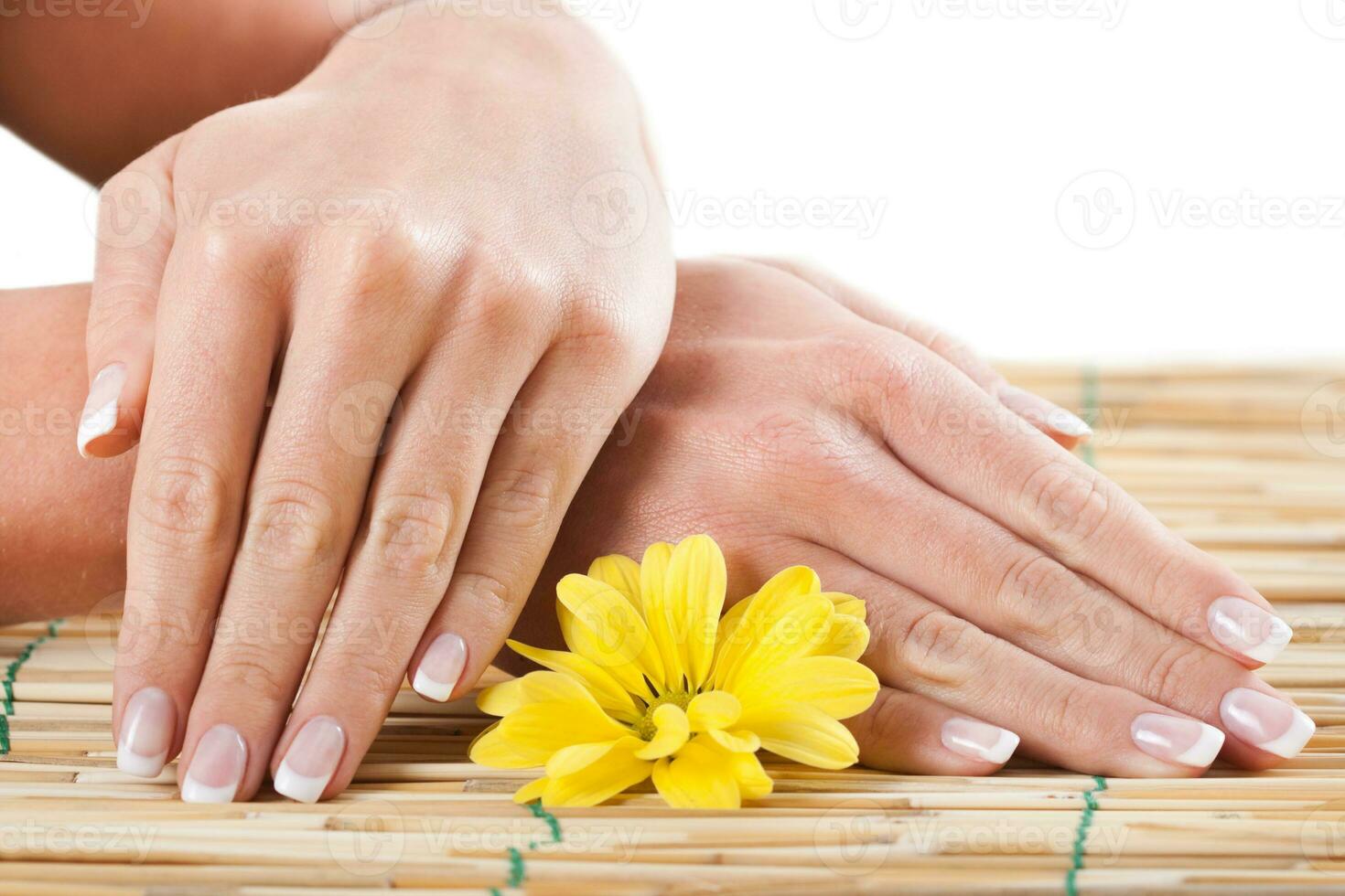 vicino su bellissimo femmina mani con un' fiore foto