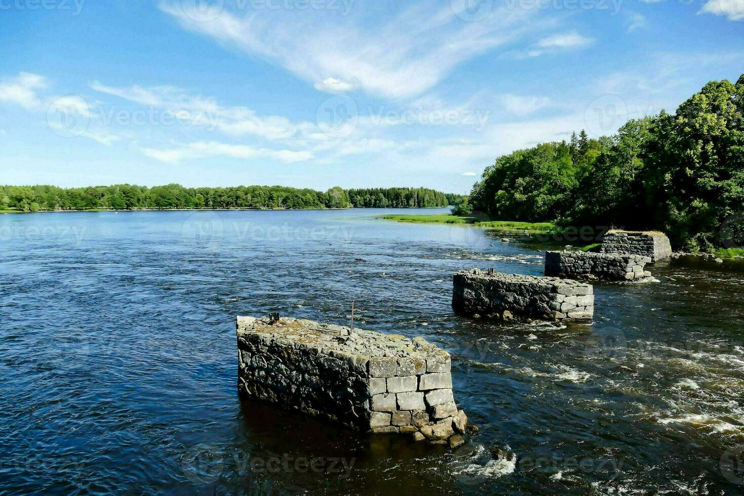 il fiume è fluente attraverso un' boscoso la zona foto