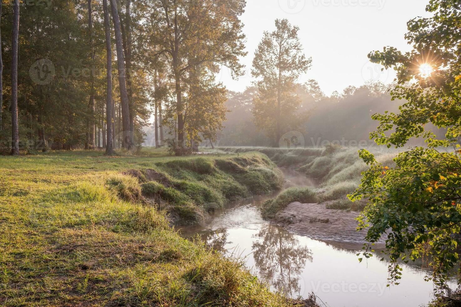 un' torrente tagli attraverso un est Texas paesaggio su un' freddo novembre mattina. foto