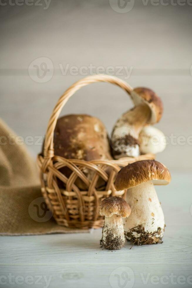 mucchio di fresco raccolto foresta funghi nel cestino foto