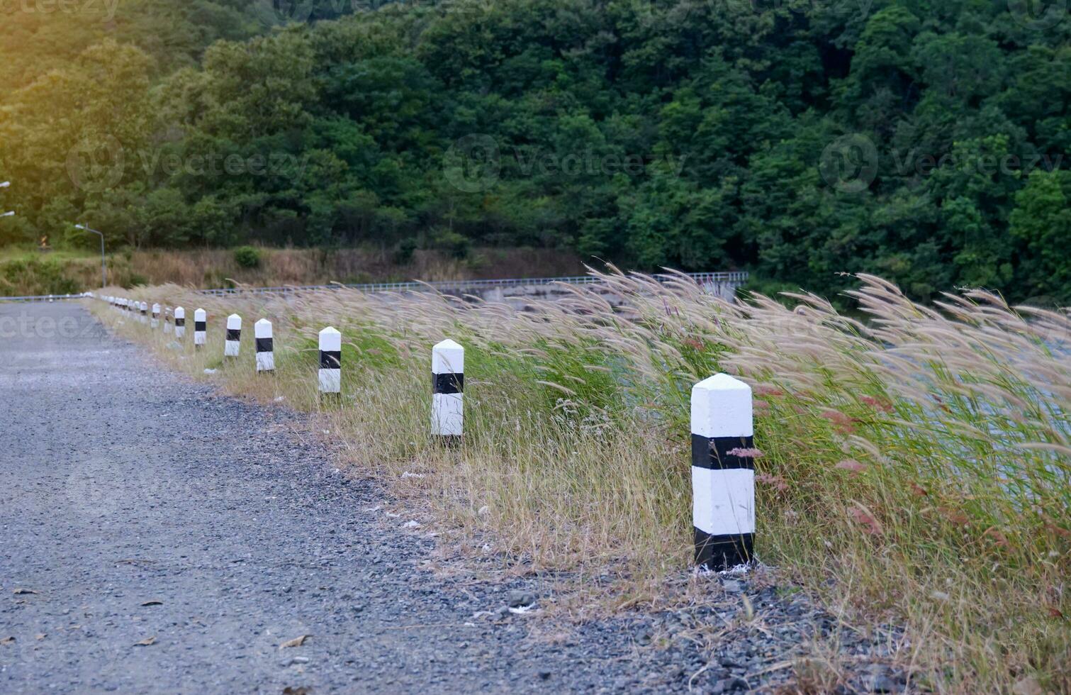 pietra miliare strada su il argine con erba in crescita lungo il ciglio della strada, ondeggiante con il vento, sembra bellissimo e adatto come un' posto per relax. picnic nel il sera foto