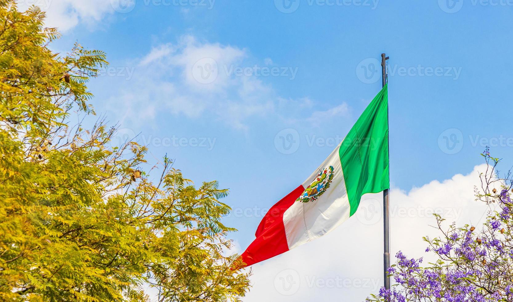 bandiera messicana a città del messico foto