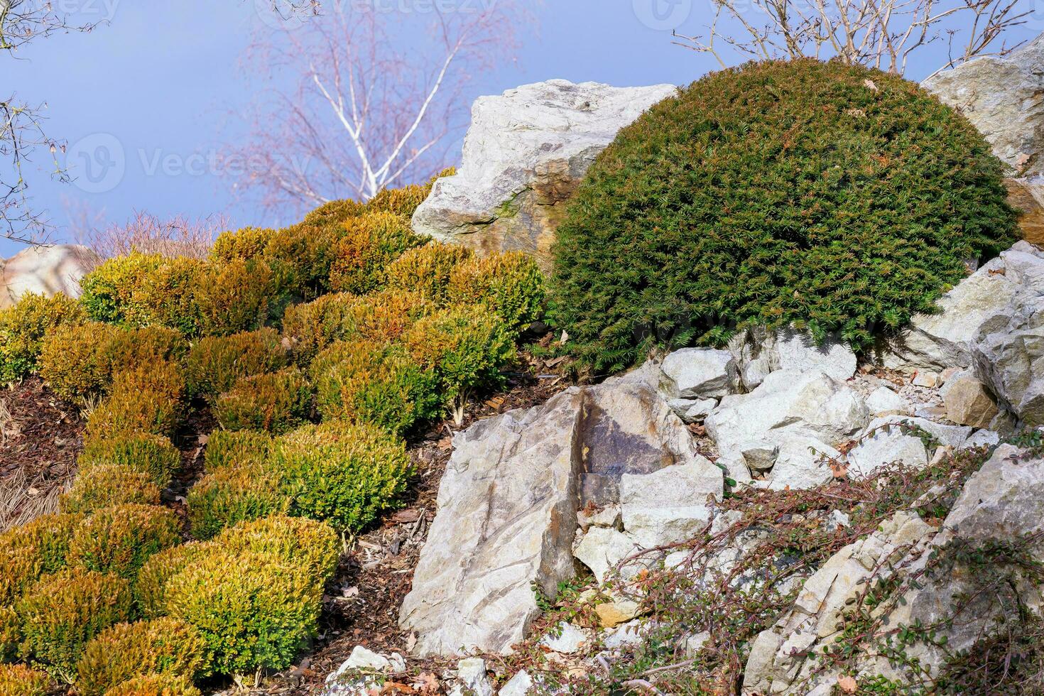 Visualizza di il ornamentale roccia giardino foto