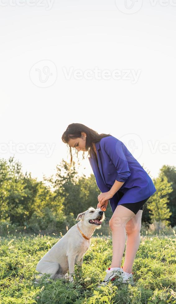 giovane donna attraente che abbraccia il suo cane nel parco al tramonto foto