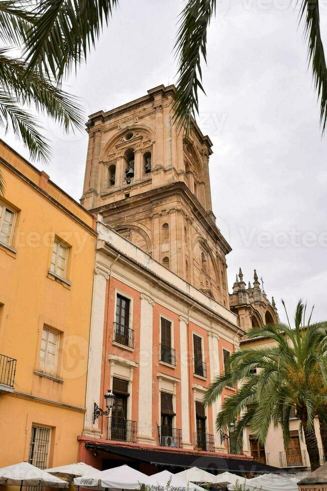 un' Chiesa Torre e un' palma albero nel il mezzo di un' città foto