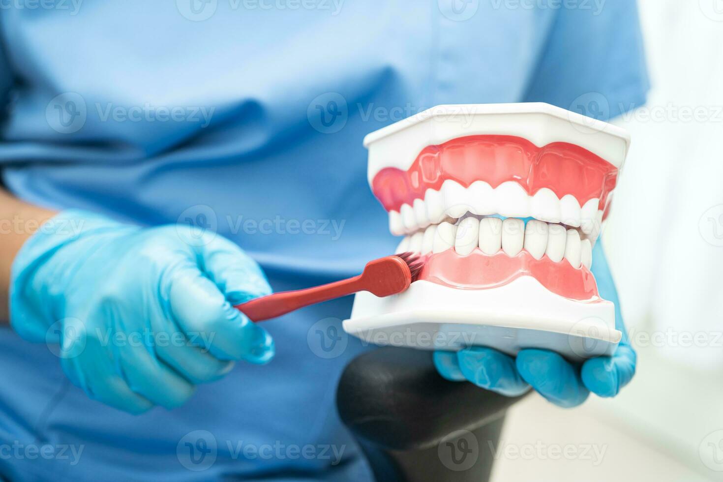 asiatico dentista pulizia denti di dentale modello con dente spazzola per paziente e studiando di odontoiatria. foto