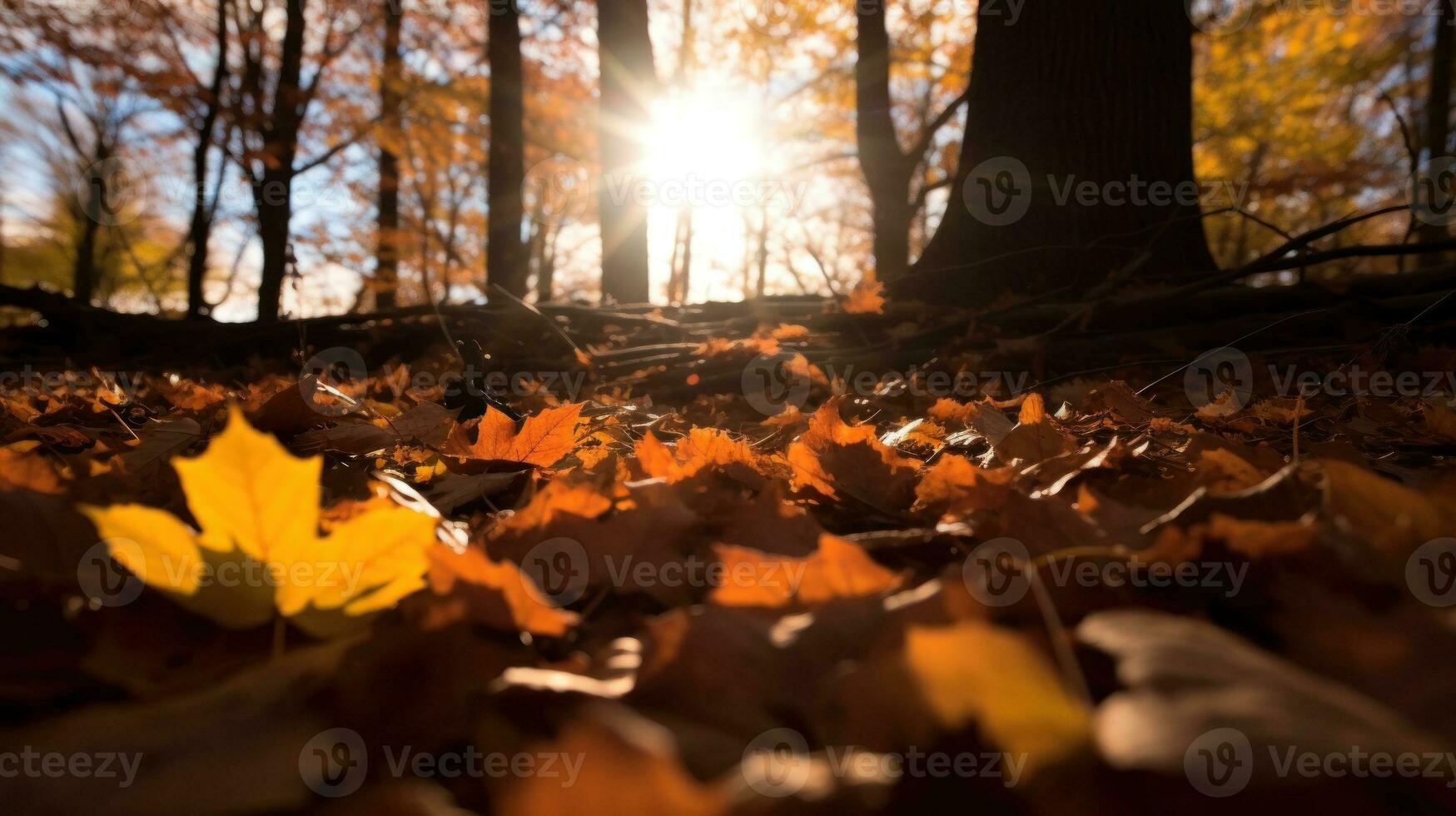 ai generato autunno le foglie nel un' foresta con luce del sole splendente attraverso, la creazione di un' sereno e vivace atmosfera. generativo ai foto