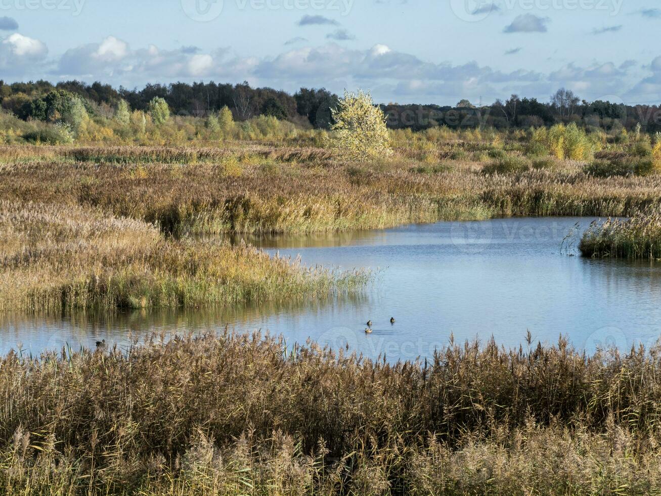 canneto e stagno a ceramica macchina, Sud yorkshire, Inghilterra foto