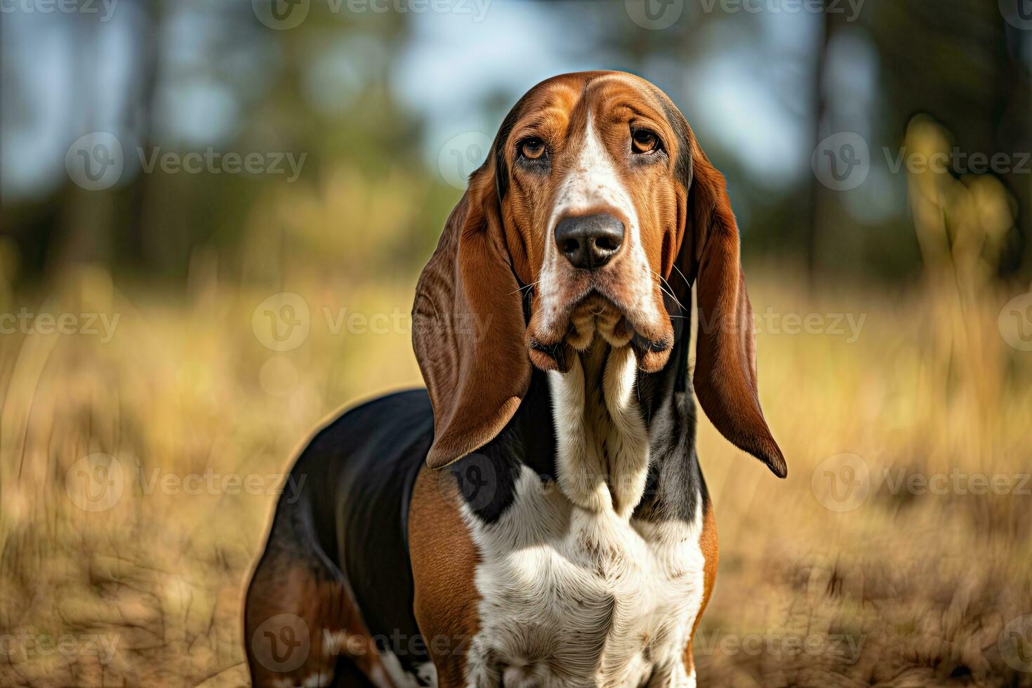 ai generato realistico bassetto cane da caccia clipart foto