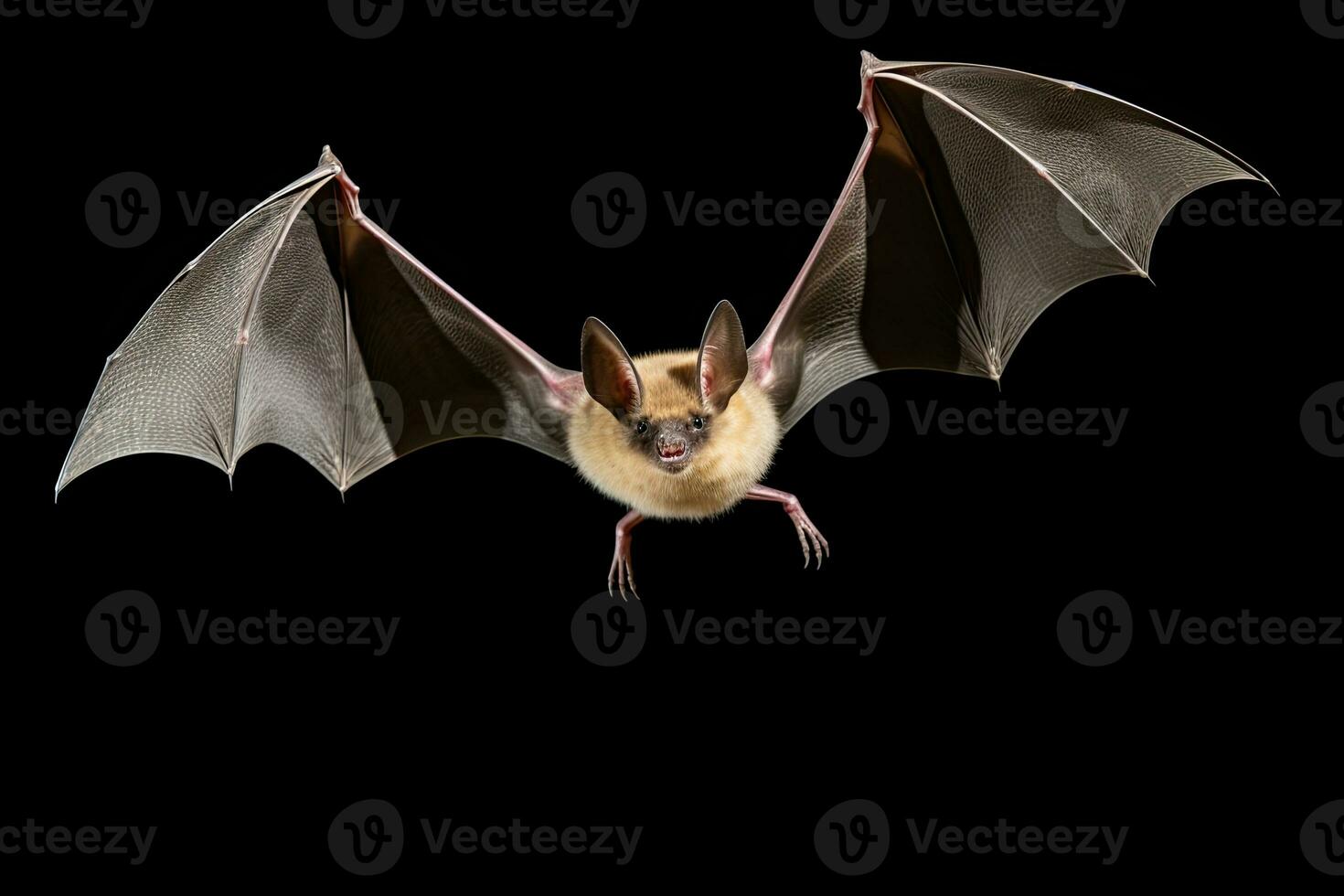 ai generato realistico pipistrello clipart foto