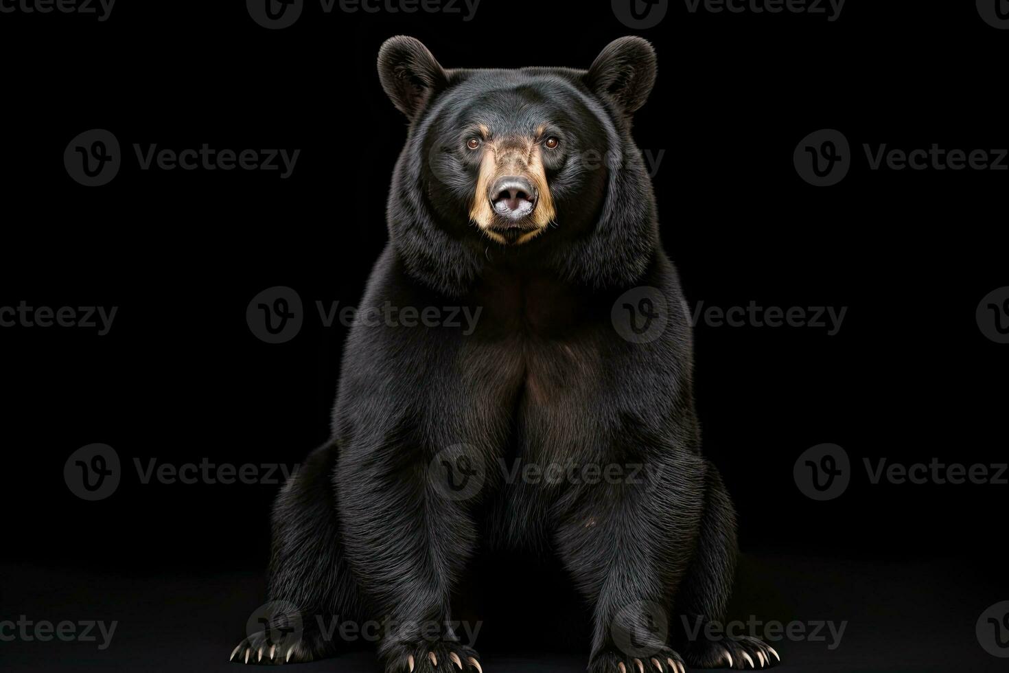 ai generato realistico nero orso clipart foto