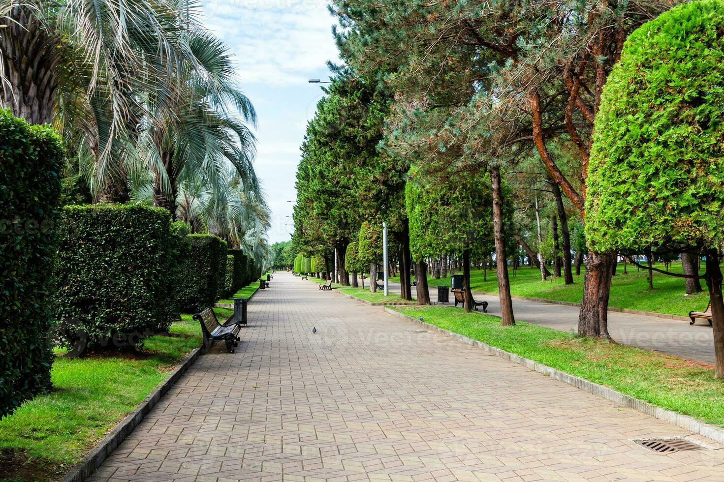 pedone vicolo nel viale nel batumi su autunno foto