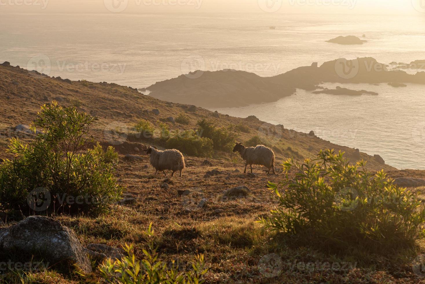 la mattina presto dell'isola del campeggio, rocce e sole formano uno splendido scenario foto