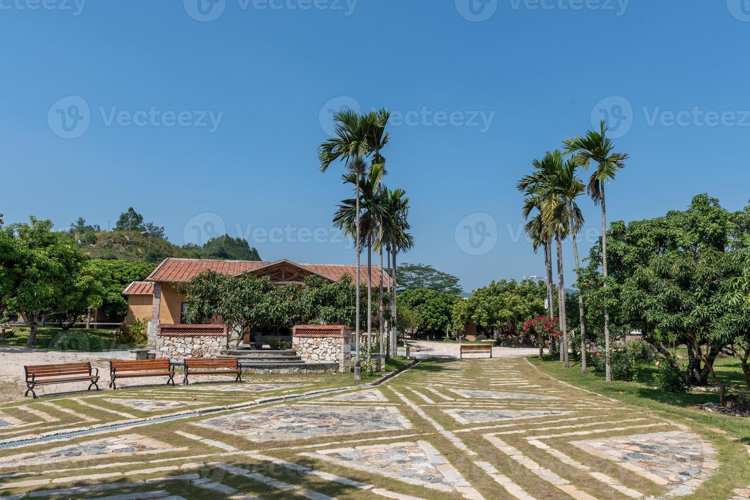 molte case nel parco sono circondate da alberi verdi foto