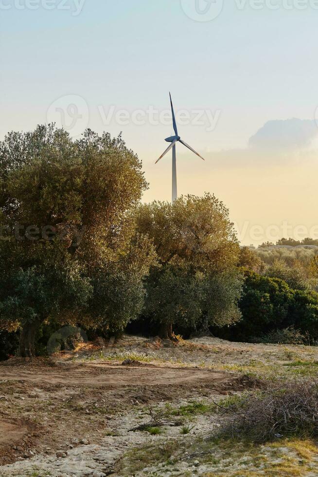 bellissimo scenario di polignano un' cavalla, cittadina nel il Provincia di Bari, pugliese. foto