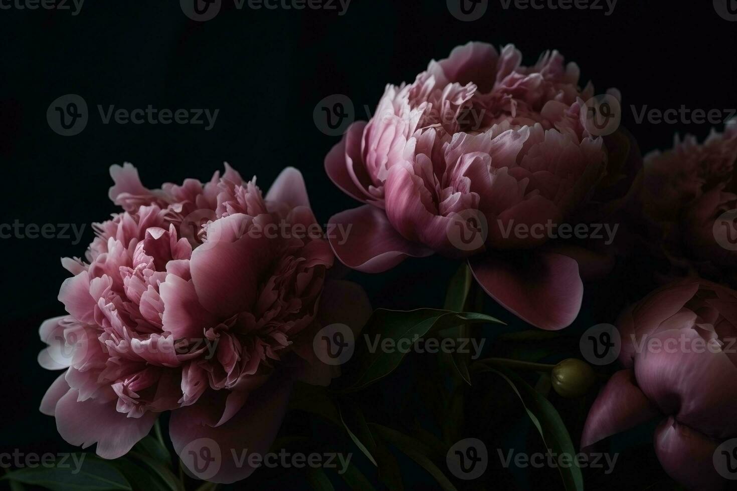 ai generato peonie buio lunatico romantico sfondo. avvicinamento floreale carta sfondo. ai generato foto