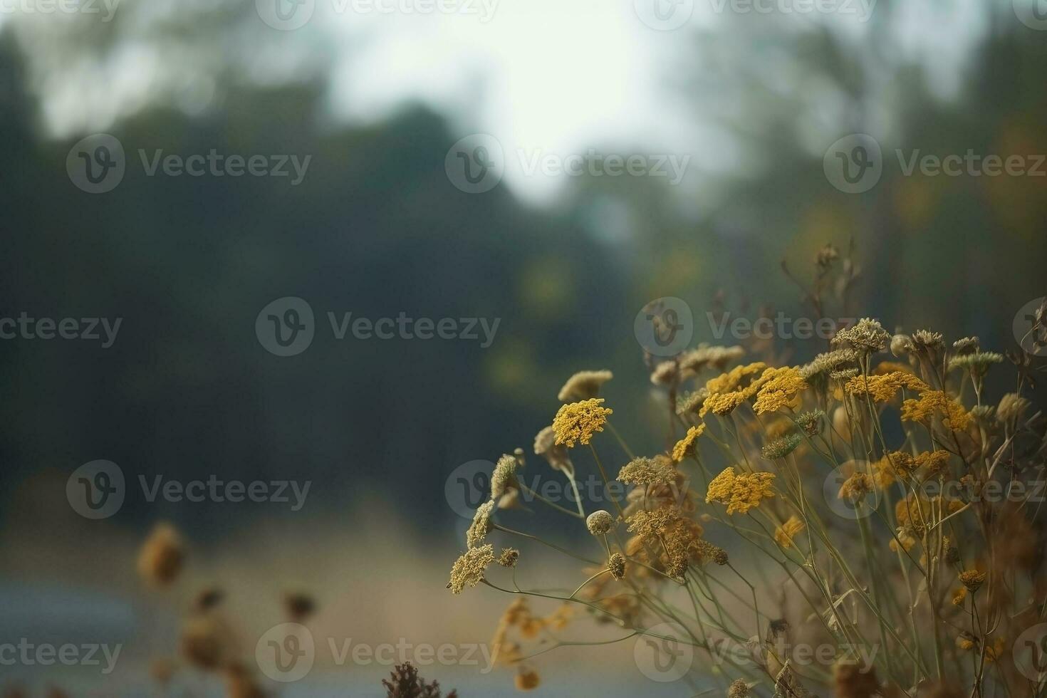 ai generato secco fiori nel il foresta. autunno sfondo foto