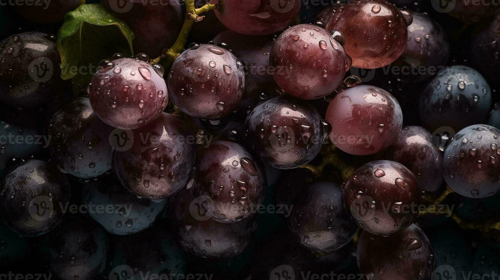ai generato avvicinamento di nero uva con acqua gocce su buio sfondo. frutta sfondo foto