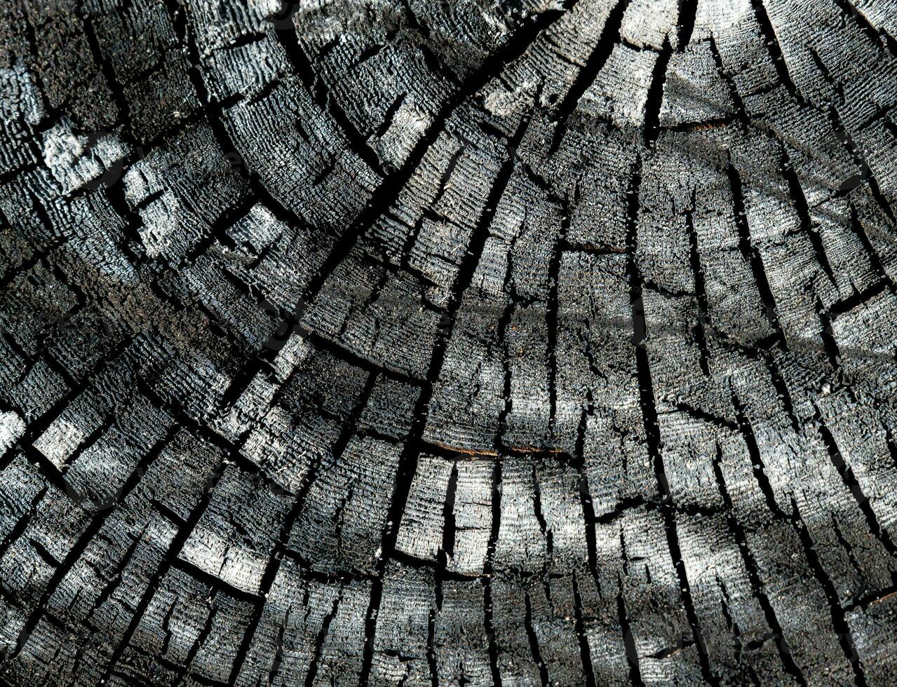 un' bellissimo legna modello fondale quello può essere Usato per un' varietà di scopi. foto