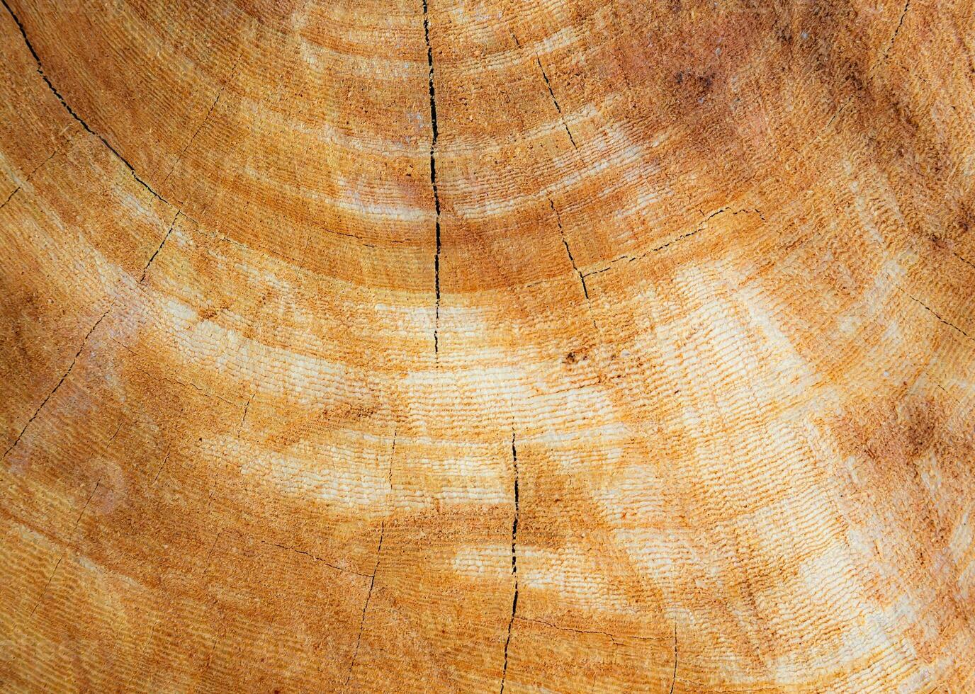 un' bellissimo legna modello fondale quello può essere Usato per un' varietà di scopi. foto